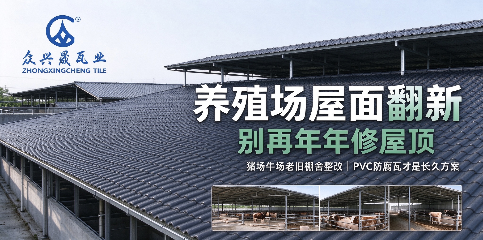 养殖场屋面翻新，别再年年修屋顶！